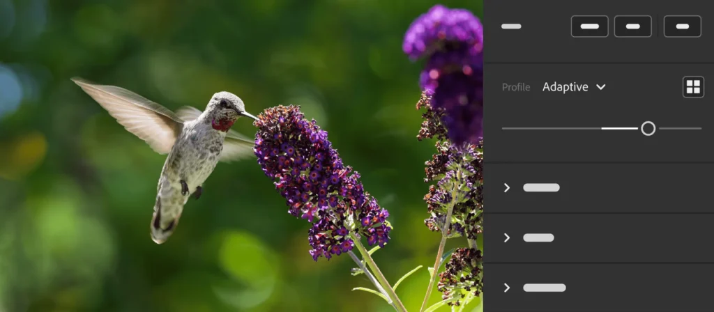 Adobe Lightroom and Camera Raw's new AI features, Adaptive Profiles and Distraction Removal, revolutionize photo editing. Save time, enhance quality, and streamline your workflow with intelligent tools.